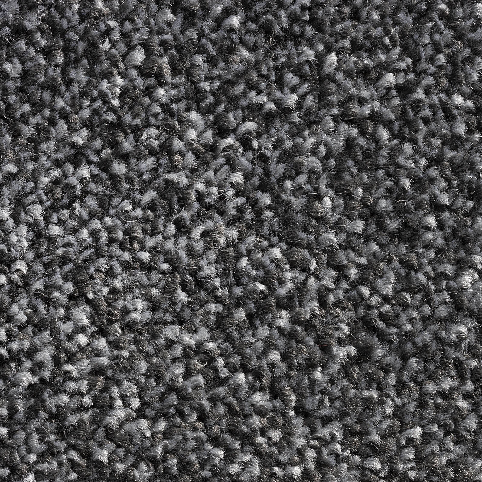 Allegro Fossil 77